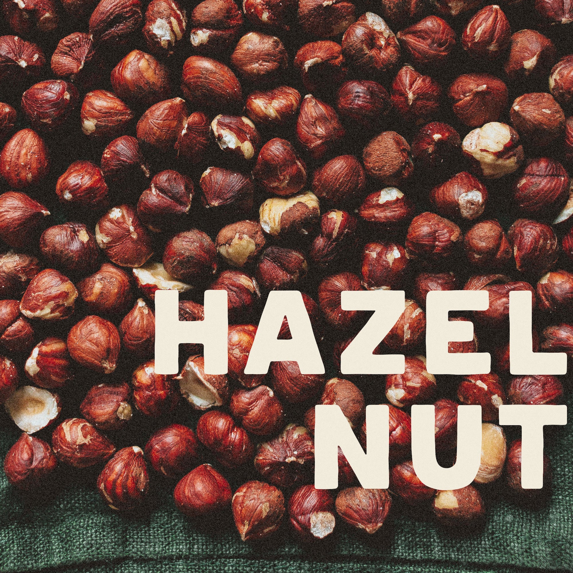 Hazelnut